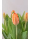 TULIPANES NARANJAS X 10 TALLOS