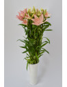 LILIUMS ROSAS 80CM X 10 TALLOS