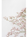 LIMONIUM ROSA X 5 TALLOS