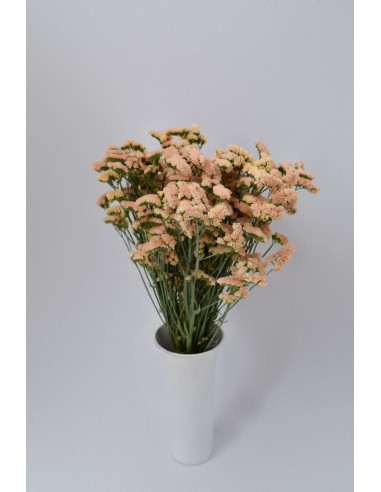 STATICES SALMON X 5 TALLOS