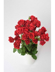 ROSAS SPRAY ROJA X 10 TALLOS