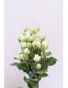 ROSAS SPRAY BLANCAS X 10 TALLOS