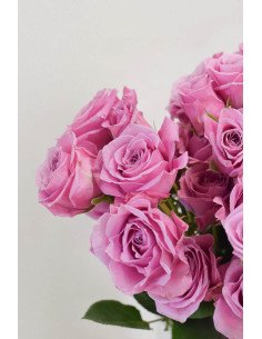 ROSAS SPRAY MORADAS X 10 TALLOS